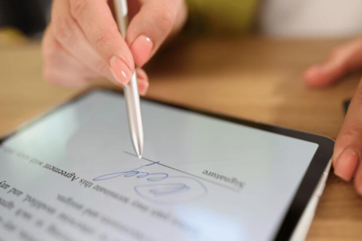 Electronic Signatures: What the Record Proves